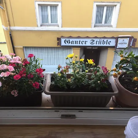 Homestay 公寓 瓦尔茨胡特·田根