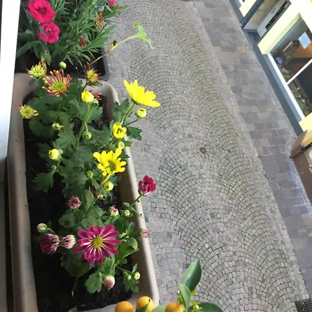 公寓 Homestay 瓦尔茨胡特·田根