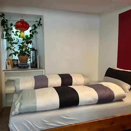 Homestay Apartment Waldshut-Tiengen