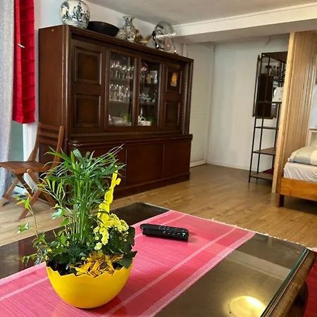 Homestay Apartment